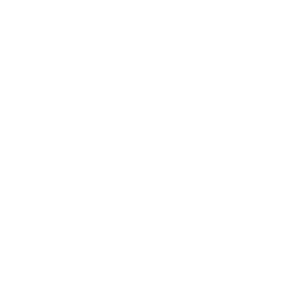 SEO audit and strategy